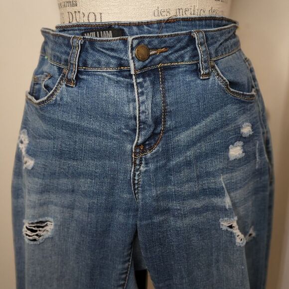 William Rast Girlfriend skinny jeans - Picture 3 of 10